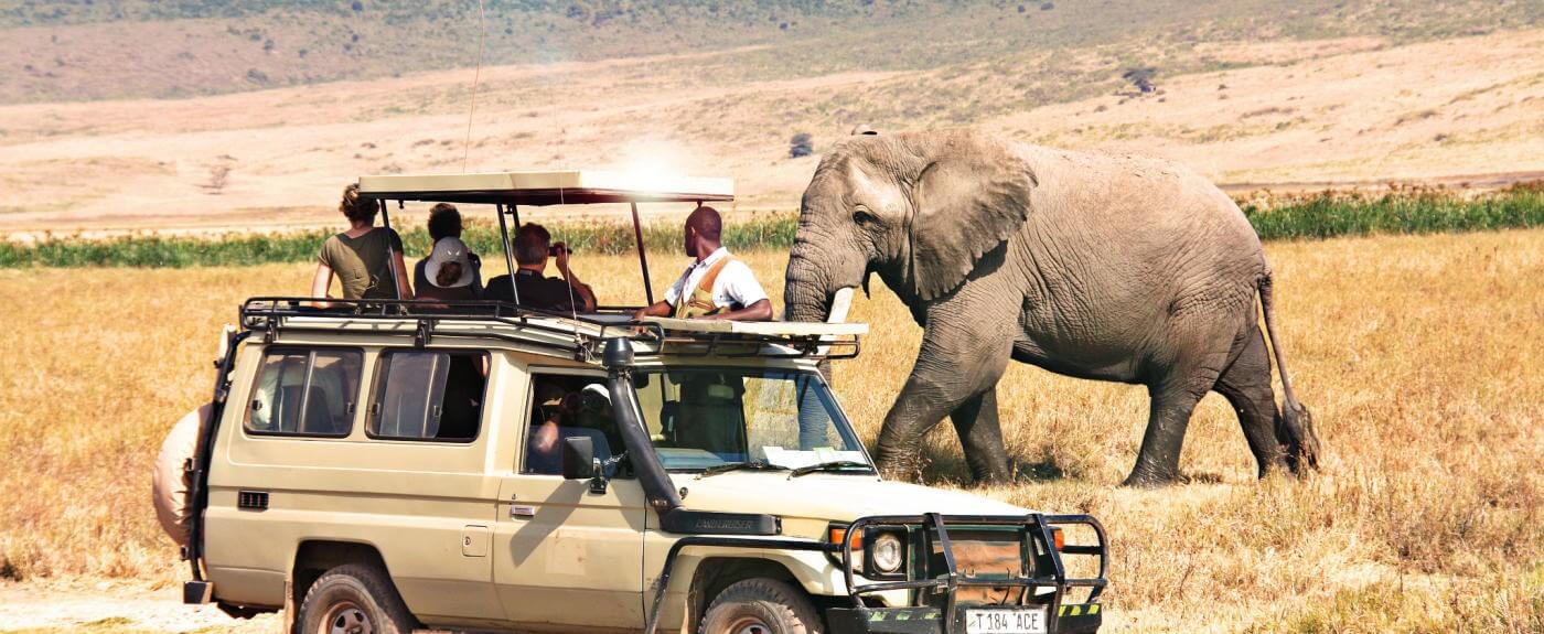 tanzania7 - Copy