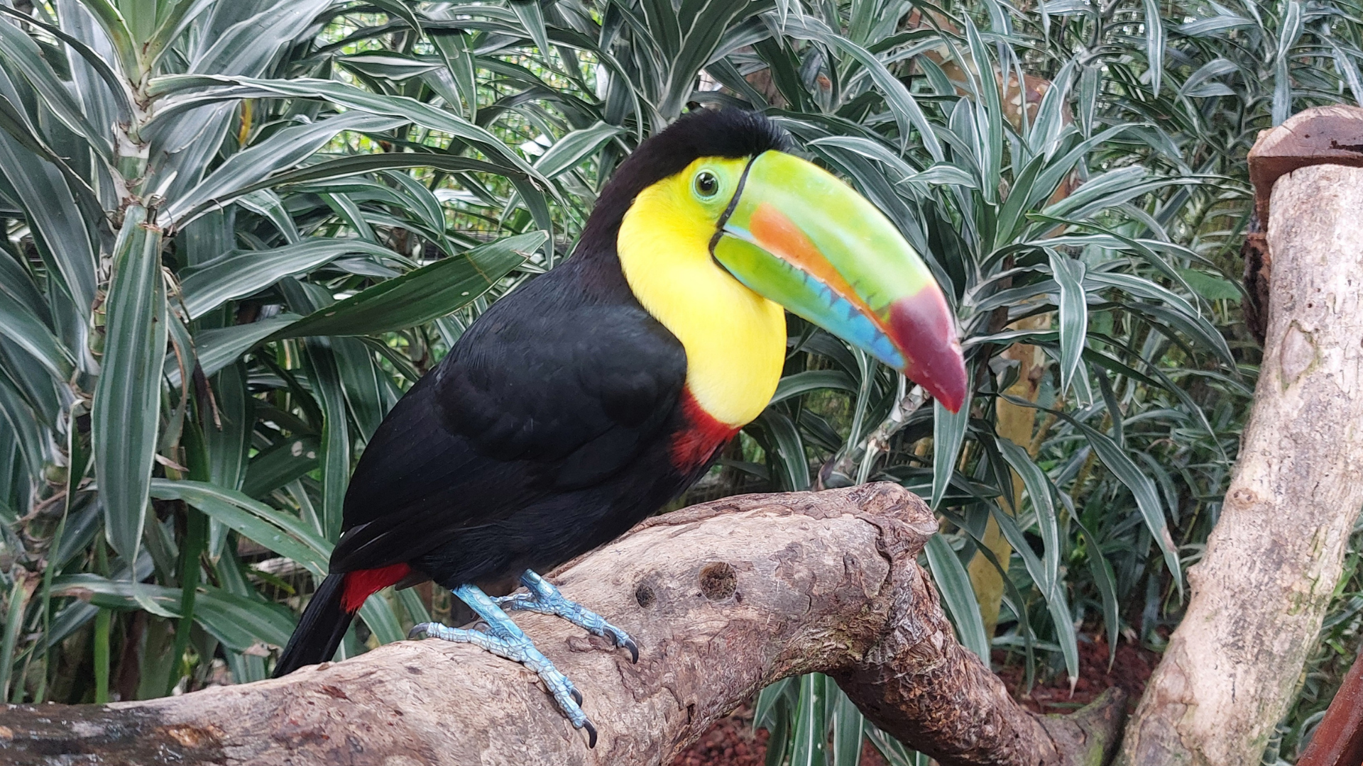 עיצוב ללא שם