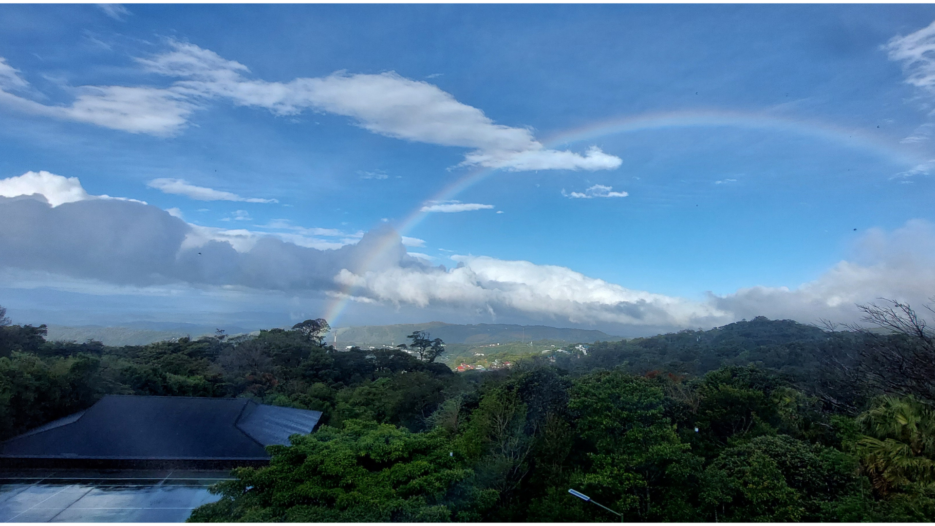 עיצוב ללא שם (3)