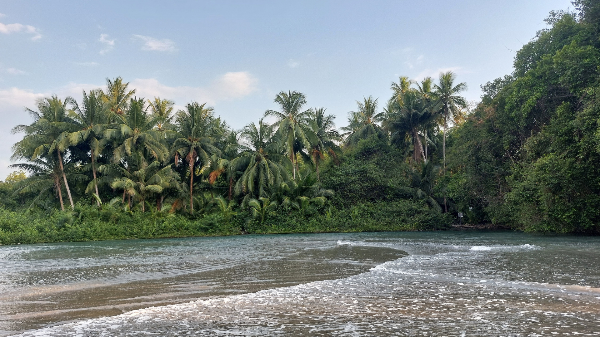 עיצוב ללא שם (7)