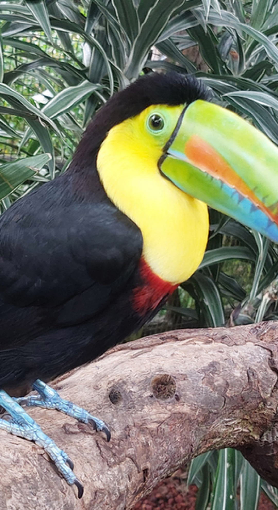 עיצוב ללא שם