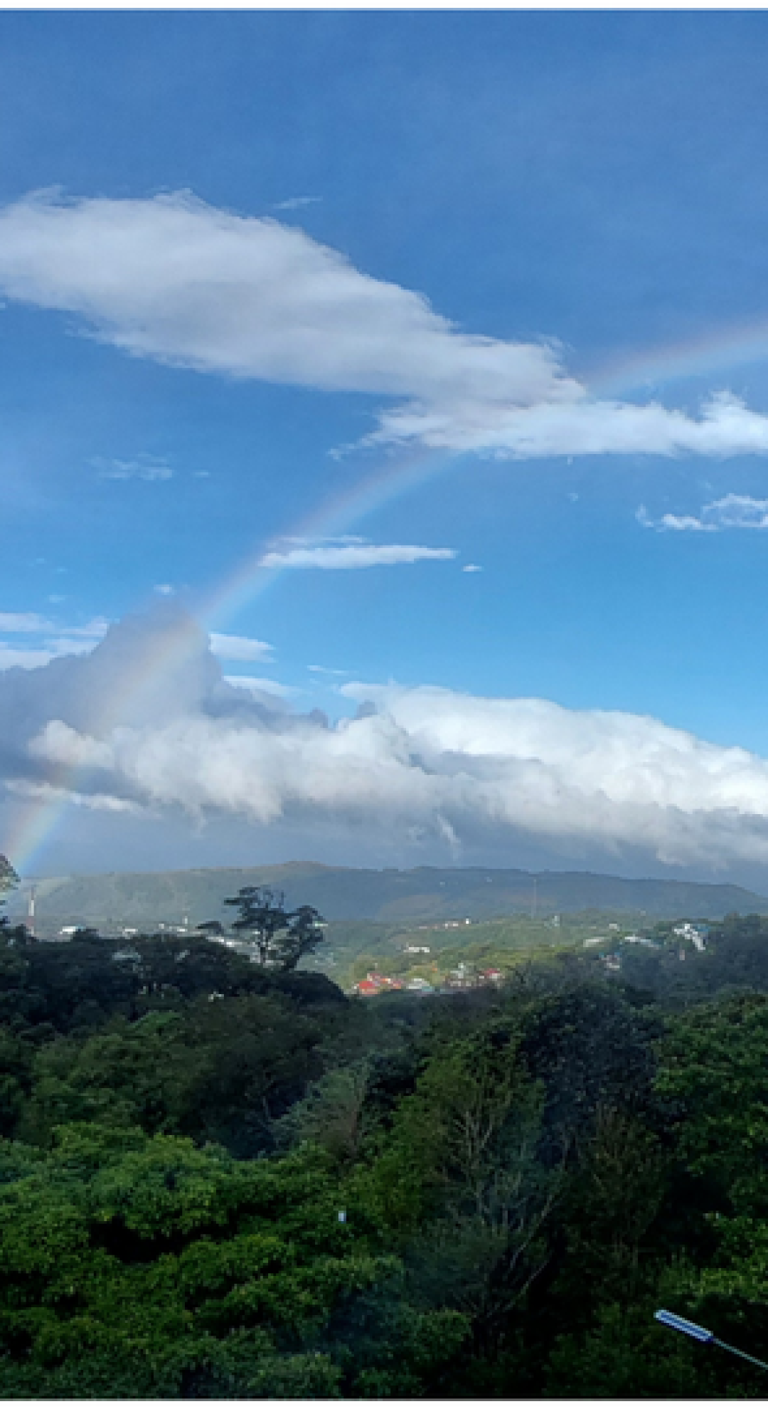 עיצוב ללא שם (3)
