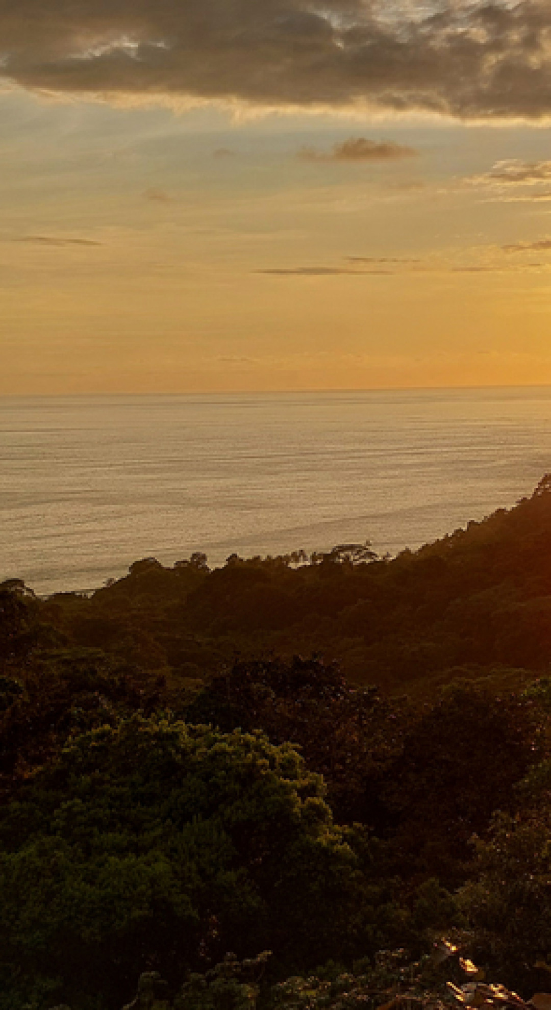 עיצוב ללא שם (4)