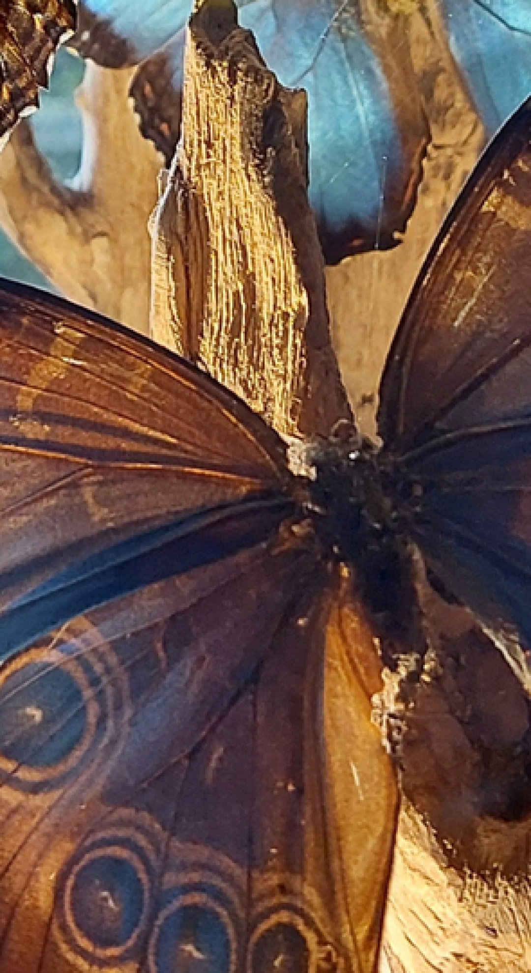 עיצוב ללא שם (5)