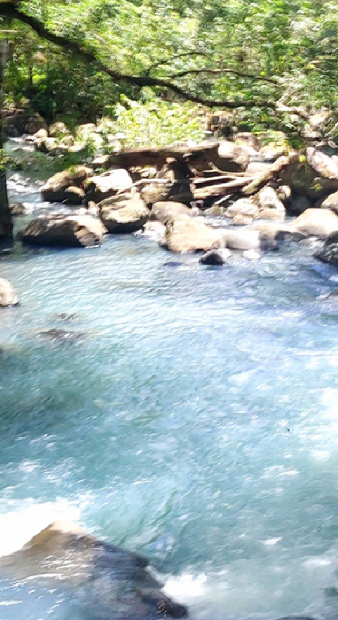 עיצוב ללא שם (6)