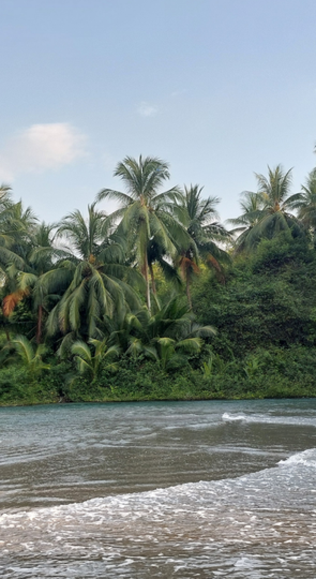 עיצוב ללא שם (7)